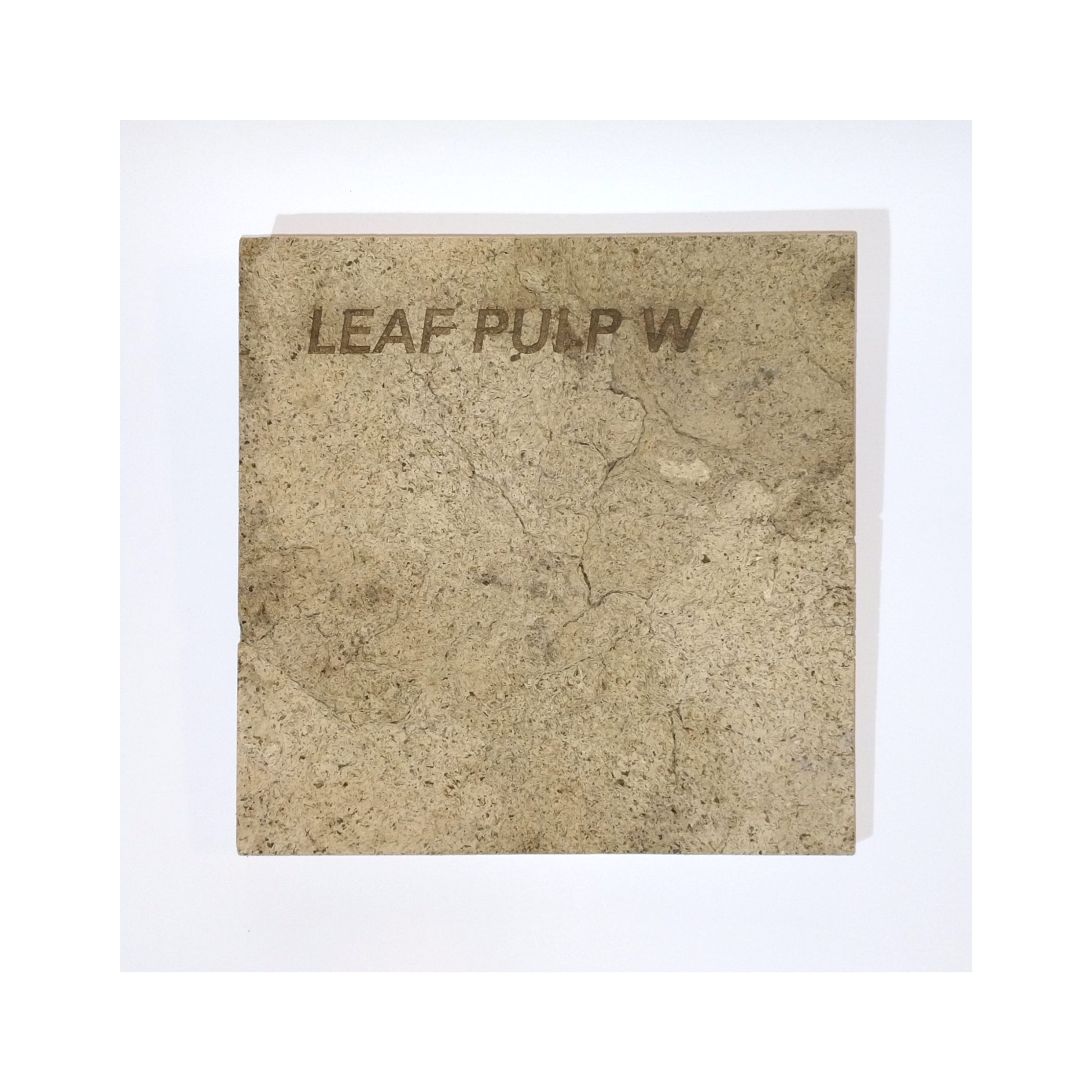 Leaf Pulp Image 4